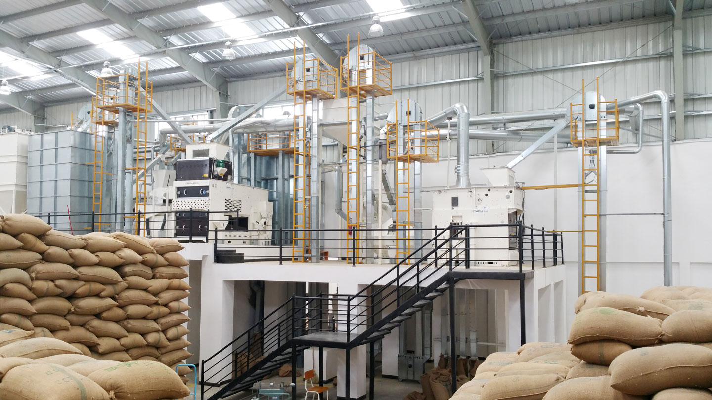 Coffee quality inspection and grading, Global Agrichain Tanzania