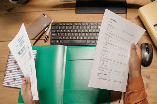 Financial documentation and balance sheet review, agricultural investment due diligence Tanzania