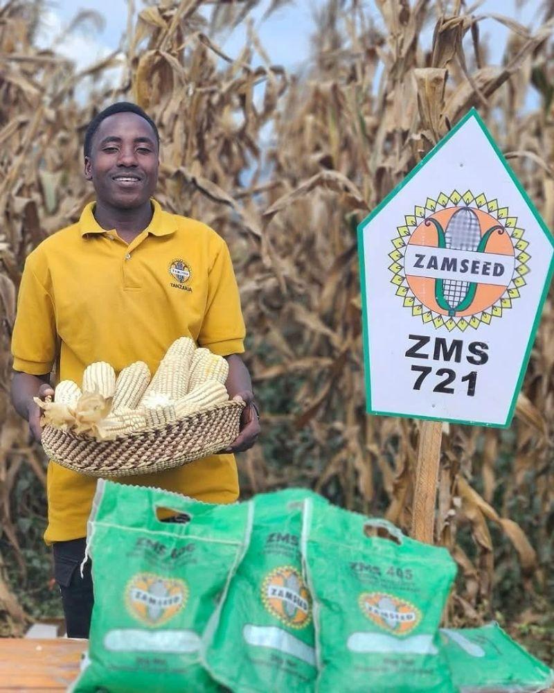Tanzanian farmer with harvested maize crop ready for sale