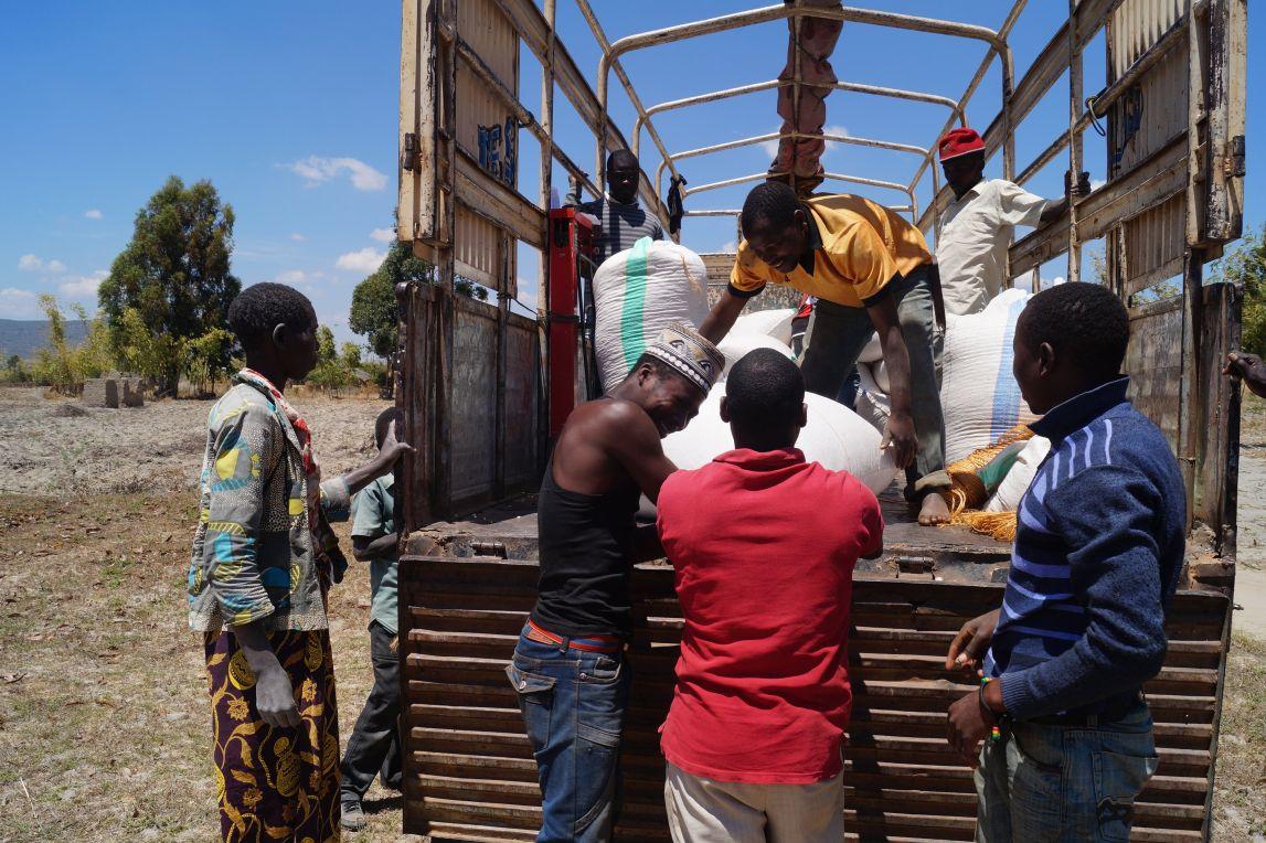 Loading grain sacks onto a truck for market distribution in Tanzania