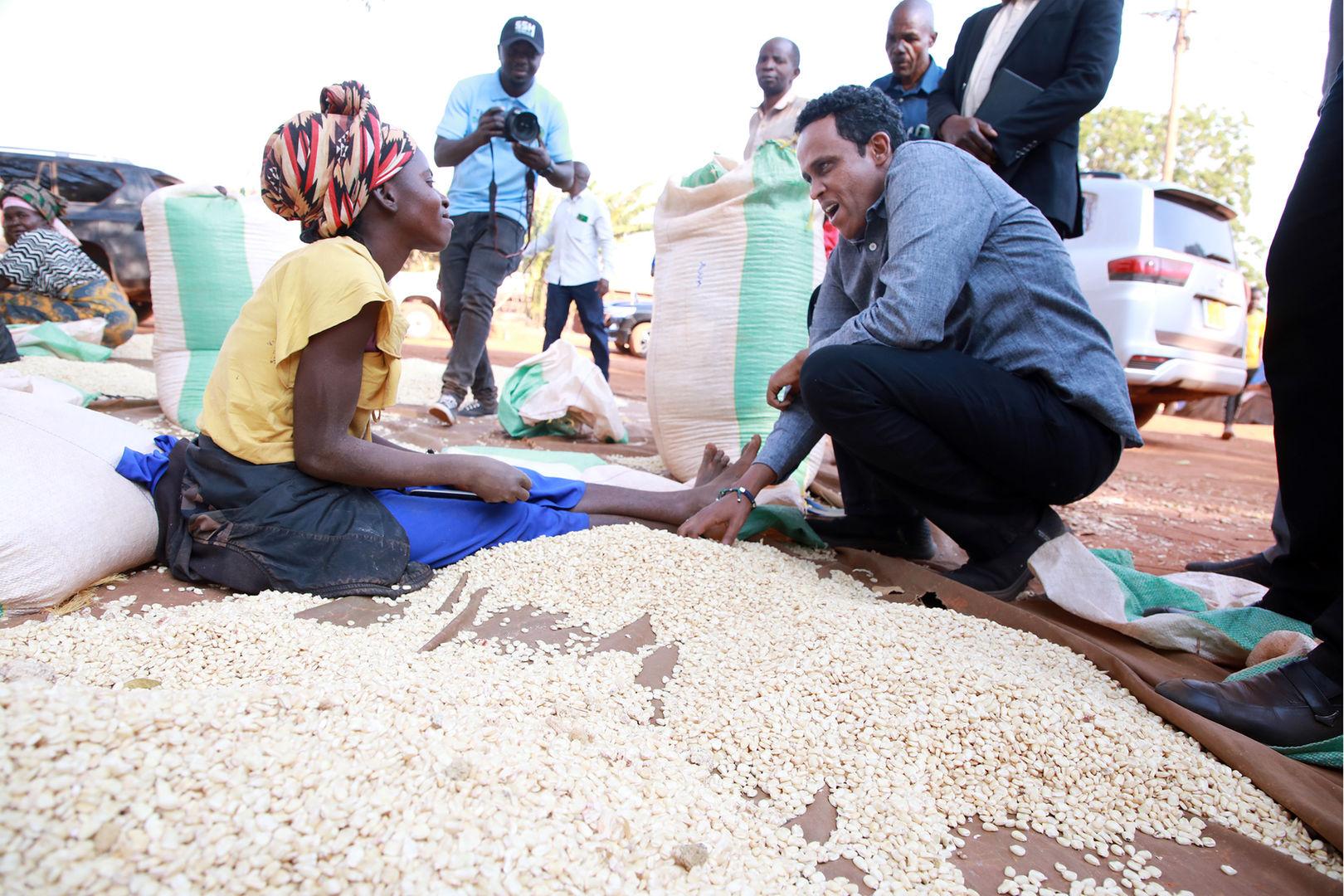 Grain sorting and quality inspection at a Tanzanian commodity buying point